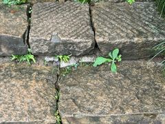 -雅达·阳羡溪山小镇中心