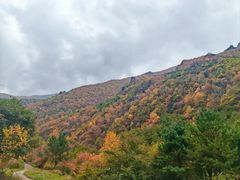 -小五台金河景区