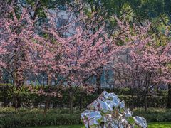 -静安雕塑公园