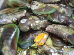 -邹记·美食(斗门店)