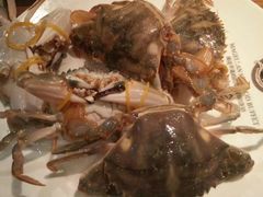 -甄品麦哲伦海鲜和牛自助(万达广场店)