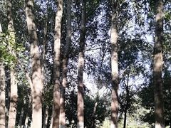-莫子山公园