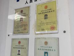 -睿金宠物医院·CT·肿瘤·骨外科