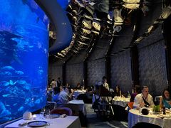 -迪拜帆船酒店海底餐厅