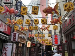 -劈柴院