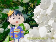 -上海滨江森林公园