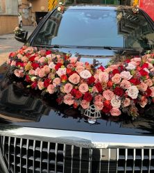 -喜乐汇·婚车(华润橡树湾3期店)