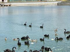 -水上乐园·欢乐世界