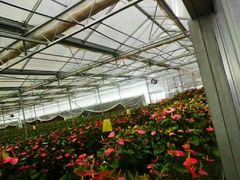 -西部兰花园生态园