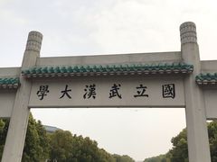 -武汉大学-樱园