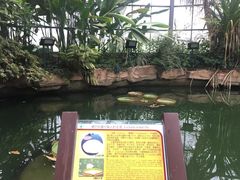 -华南国家植物园-售票处