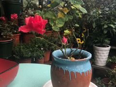 -兰桂坊·花园餐厅(西湖店)