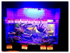 -陶陶居海鲜酒家(新马路店)