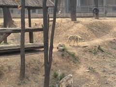 -石家庄市动物园