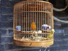 -遥桥古堡