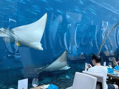 -涛·海底餐厅·美人鱼·自助餐·海底隧道(三亚海棠湾洲际度假酒店)