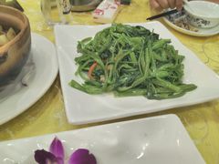-新兴·金羊座·粤菜点心(乐峰店)