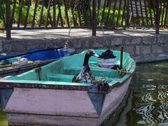 -团结湖公园