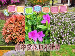 -新虹桥中心花园