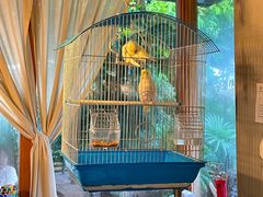 -时光花园(白鹭洲店)