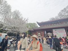 -堤角公园