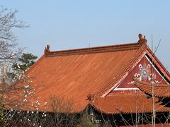 -开福禅寺