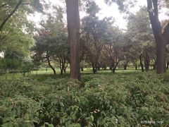 -玲珑塔公园