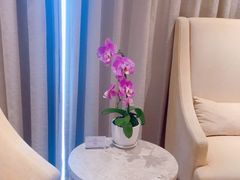 -珠海中海雅高铂尔曼酒店