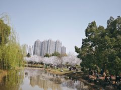 -堤角公园