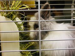 -藦茜花园宠物主题亲子互动体验馆(国顺东路店)