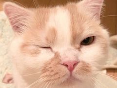 -中医药大学-老3楼餐厅