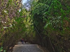 -龙门崮风景区