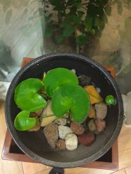 -娇玫荟SPA