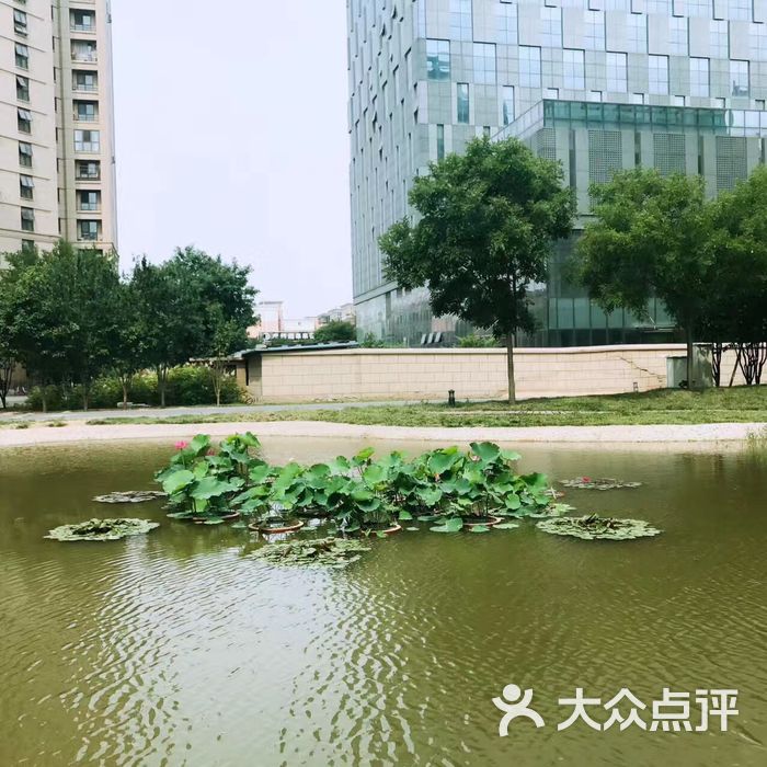 海上海花园小区环境图片-北京小区-大众点评网