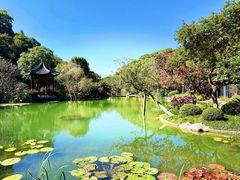 -云溪植物园