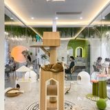 杭州凤凰山景区可以撸猫的咖啡馆超赞