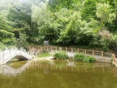 -王顺山国家森林公园