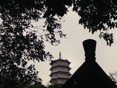 -深圳国际园林花卉博览园