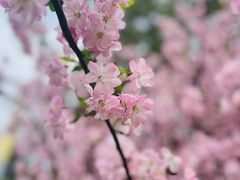 -莲花国际广场