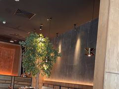 -同仁四季椰子鸡(无锡滨湖万象汇店)