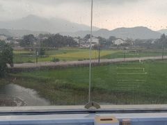 -黄牛肉馆·皖南土菜