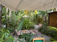 -西双版纳傣族园