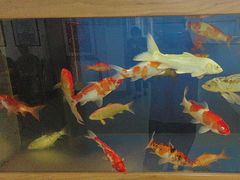 -北京西鹤年堂中医医院