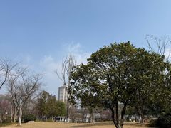 -洋湖国家湿地公园