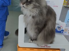 -美美宠物诊疗中心·异宠·骨科(滨江东信分院)