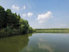 -溱湖国家湿地公园