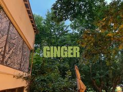 -Ginger(兴国路店)