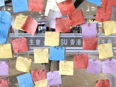 -香港大学