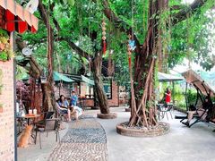 -柴犬高等学院·狗咖·柴犬售卖·宠物训练