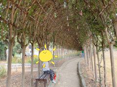 -武汉紫薇都市田园